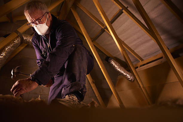 Best Insulation Maintenance and Repair in Avon, CO